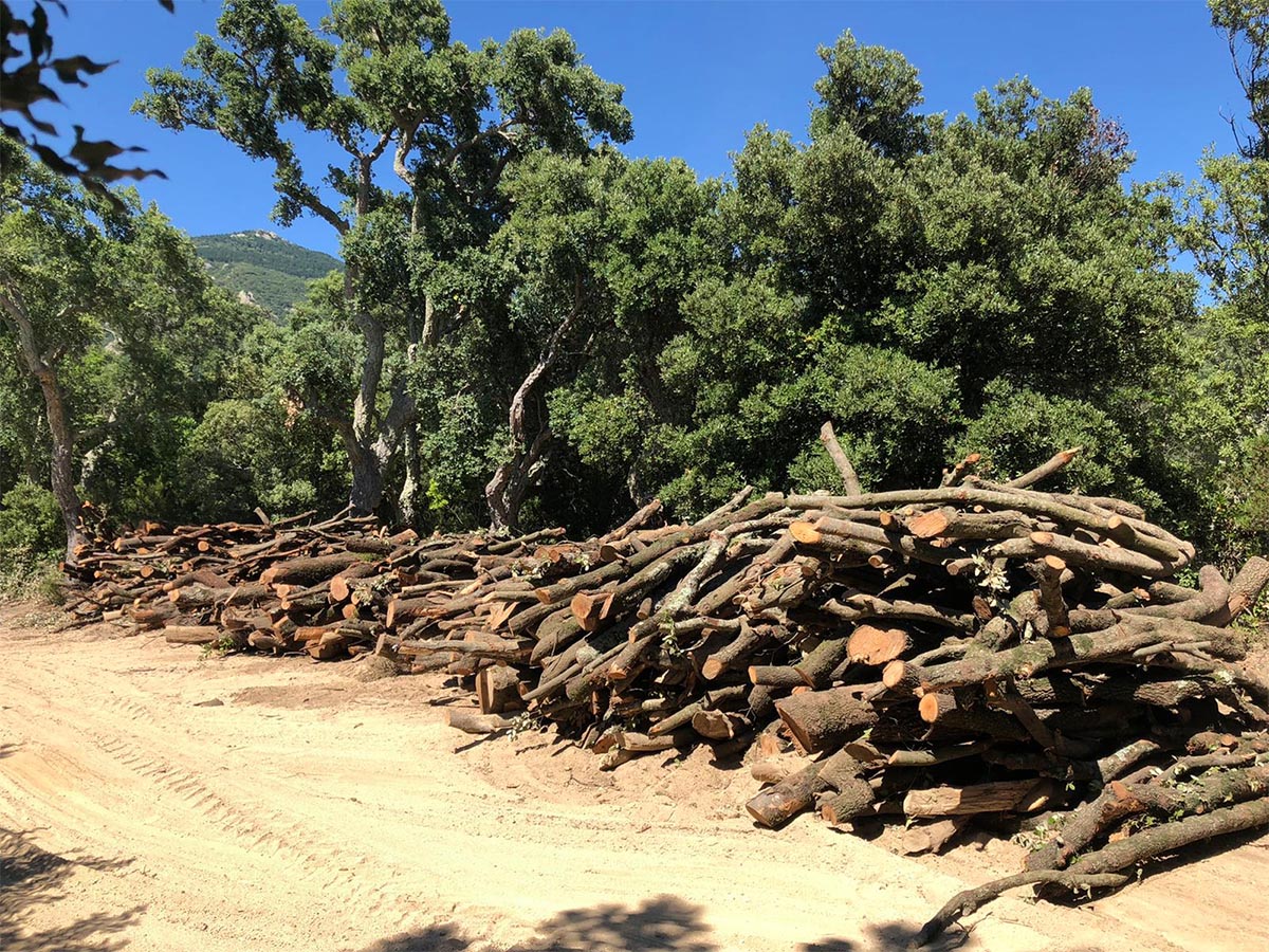 Venda i entrega de llenya a domicili